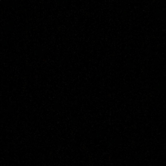 Meet your Posher, Presley - Picture 1 of 1